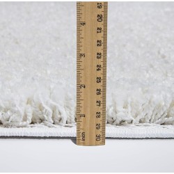 Luxury Softest, Shaggy Collection Modern Indoor Area Rugs, Fluffy Living Room Carpets for Children Bedroom Home Décor Nursery Rug, 8' x 10' ft, Solid White