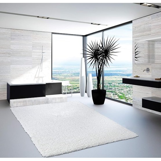 Luxury Softest, Shaggy Collection Modern Indoor Area Rugs, Fluffy Living Room Carpets for Children Bedroom Home Décor Nursery Rug, 8' x 10' ft, Solid White
