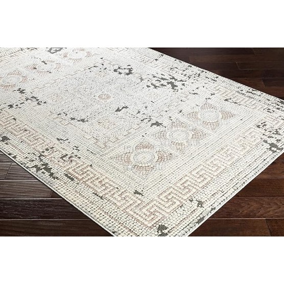 Mark&Day Area Rugs, 9x12 Herblay Global Camel/Beige Area Rug, Beige Rose Grey Carpet for Living Room, Bedroom or Kitchen (8'11" x 12'4")