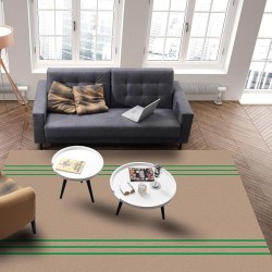 Large Rectangle Area Rug Retro Brown Beckground Green Stripes Soft Shag Rugs Non-Slip Entryway Hallway Carpet Non-Shedding Playing Mat for Kids Nursery Room Washable Oblong Rug 5'x8' for Living Room