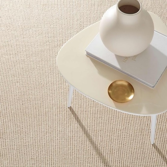 Dash and Albert Haverhill Cotton Area Rug - 8' x 10' Neutral Solid Handwoven Accent Rug - Durable, High Traffic Areas Hallway, Living Room, Stairs, Bedroom