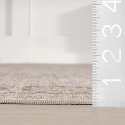 Bayberry Spill Proof Vintage Machine Washable Area Rug, 9x12, Sand