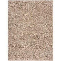 Super Soft Polyester Shag Area Rug Modern Rugs Fluffy Living Room Carpets for Bedroom Large Plush Furry Kids Playroom Nursery Classroom Dining Decor Floor Carpet