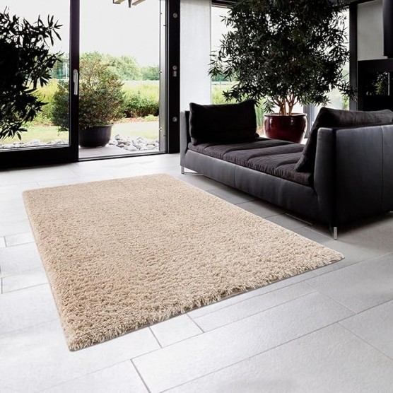 Super Soft Polyester Shag Area Rug Modern Rugs Fluffy Living Room Carpets for Bedroom Large Plush Furry Kids Playroom Nursery Classroom Dining Decor Floor Carpet