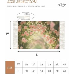 Pink Spring Floral Rugs for Living Room/Bedoorm, Large Area Rug Indoor Outdoor, Summer Roses Flowers Botanical Collection Carpet Reversible Boho Farmhouse Tassels Runners Floor Mats 4'x6'